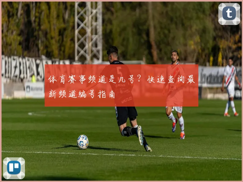 体育赛事频道是几号？快速查询最新频道编号指南