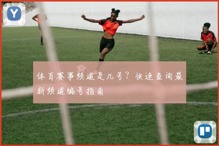 体育赛事频道是几号？快速查询最新频道编号指南